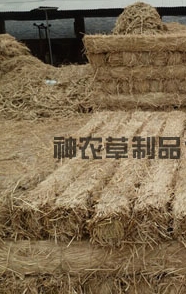 給樹(shù)干綁草繩有什么影響？